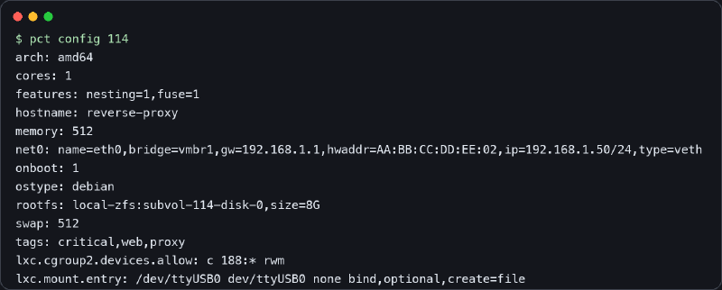 Salida saneada de pct config en Proxmox con red, memoria, rootfs, features y montajes