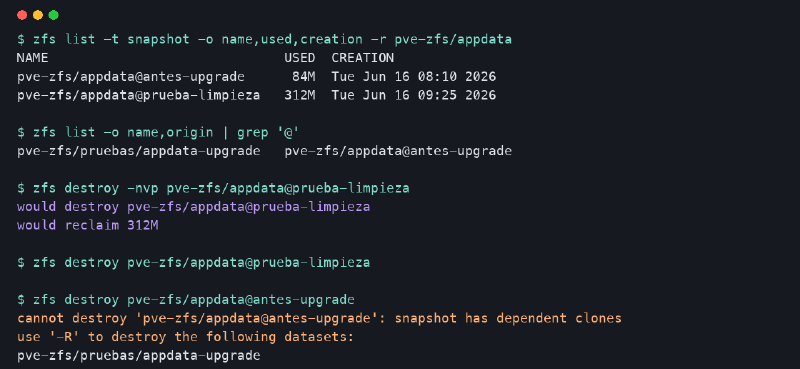 Salida saneada de zfs destroy en Proxmox